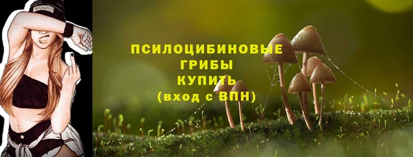 спиды Медногорск