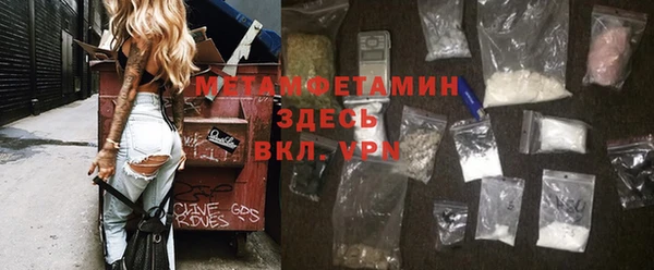 дживик Мегион