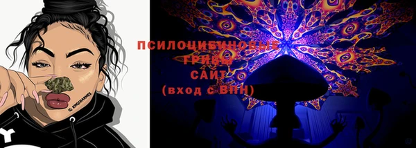 дживик Мегион