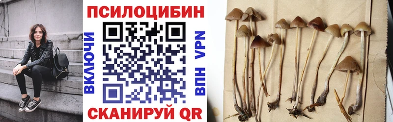 Псилоцибиновые грибы прущие грибы  Купить  Новосиль 